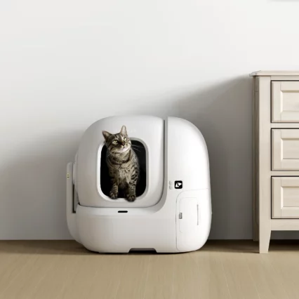 Dryžuotas katinas lipa iš balto automatinio kačių tualeto „Petkit Purobot Max Pro“ su AI kamera. Tualetas stovi ant šviesių grindų prie baltos sienos. Dešinėje matoma dalis šviesaus medinio komodos.
