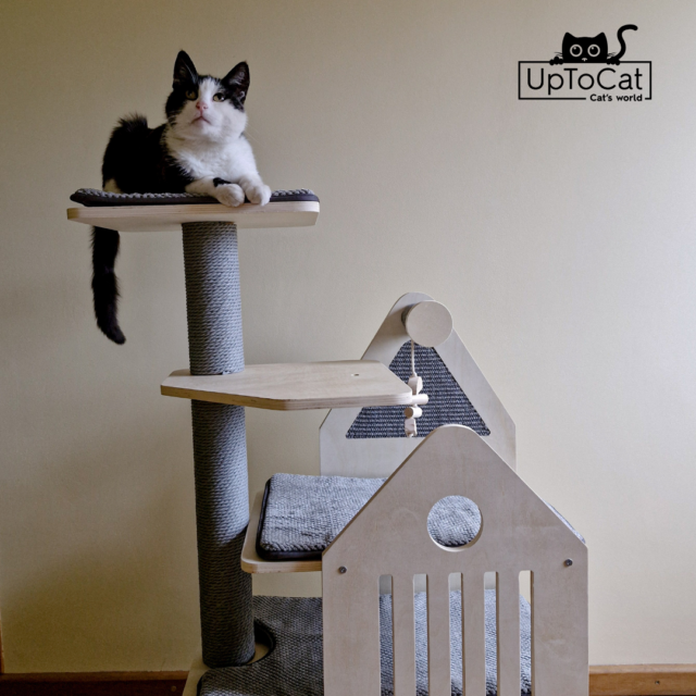 uptocat geriausia kaciu draskyklė