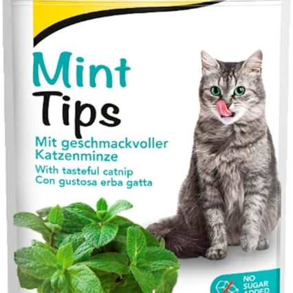 gimcat-mint-tips-begrudziai-skanestai-katems-su-katzole-40g